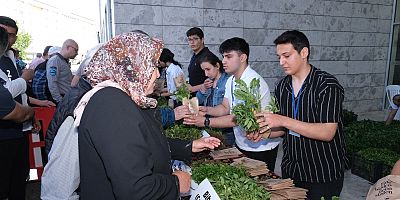 310 BİN FİDE NİLÜFER’DE VATANDAŞLARA DAĞITILDI