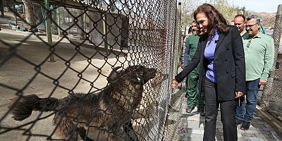 BASIN BÜLTENİ - Karşıyaka yeni hayvan yaşam merkezine kavuşuyor