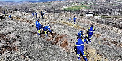 BAŞKAN ÇOLAKBAYRAKDAR, “TÜRKİYE’DE AĞAÇ DİKMEDE REKOR KIRDIK, ŞİMDİ YENİ BİR REKOR İÇİN ÇALIŞIYORUZ”