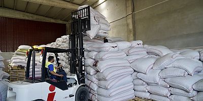 - BÜYÜKŞEHİR’DEN BİBER ÜRETİCİSİNE DESTEK: ÇİFTÇİLER NEFES ALDI