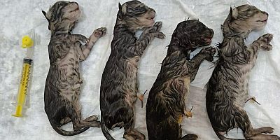 Büyükşehir’in hızlı müdahalesi hayat kurtardı