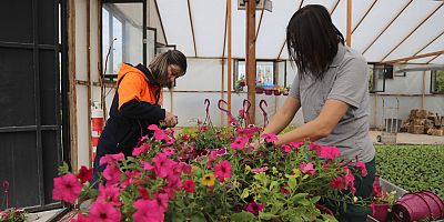 -ANKAYA ?EK AIYOR: YAZ DNEM? ??N 200 B?N F?DE HAZIR