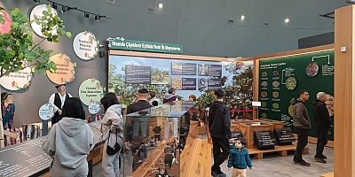 GAZİANTEP DOĞAL YAŞAM PARKI, BAYRAMDA 150 BİN ZİYARETÇİYLE REKOR KIRDI