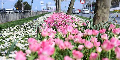 HABER BÜLTENİ-Sultangazi’nin Cadde ve Sokaklarına Bahar Geldi