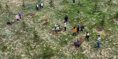 HALİL İNALCIK HATIRA ORMANI BÜYÜYOR