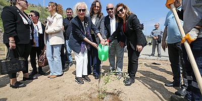 Kar??yakada zeytin fidanlar? toprakla bulu?tu