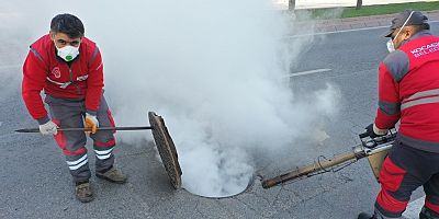 KOCASİNAN’DA YILIN 12 AYINDA ÇEVRECİ VE BİLİMSEL YÖNTEMLERLE HAŞERE MÜCADELESİ