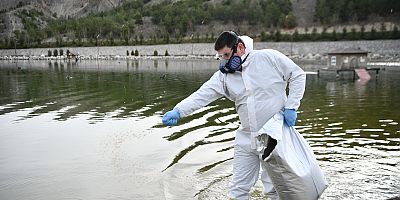  Larva ve haşere ile mücadeleye erken başlandı