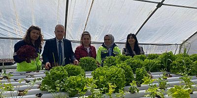 Mamak’ta Topraksız Tarım İlk Mahsulünü Verdi