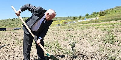 NİLÜFER BELEDİYESİ KONAKLI’YA 800 ZEYTİN FİDANI DİKTİ