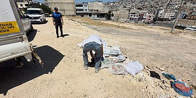 VATANDAŞ FOTOĞRAFLADI, ŞAHİNBEY ZABITA EKİPLERİ YAKALADI