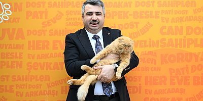 YILDIRIM’DA 625 PATİLİ DOST SICAK YUVAYA KAVUŞTU